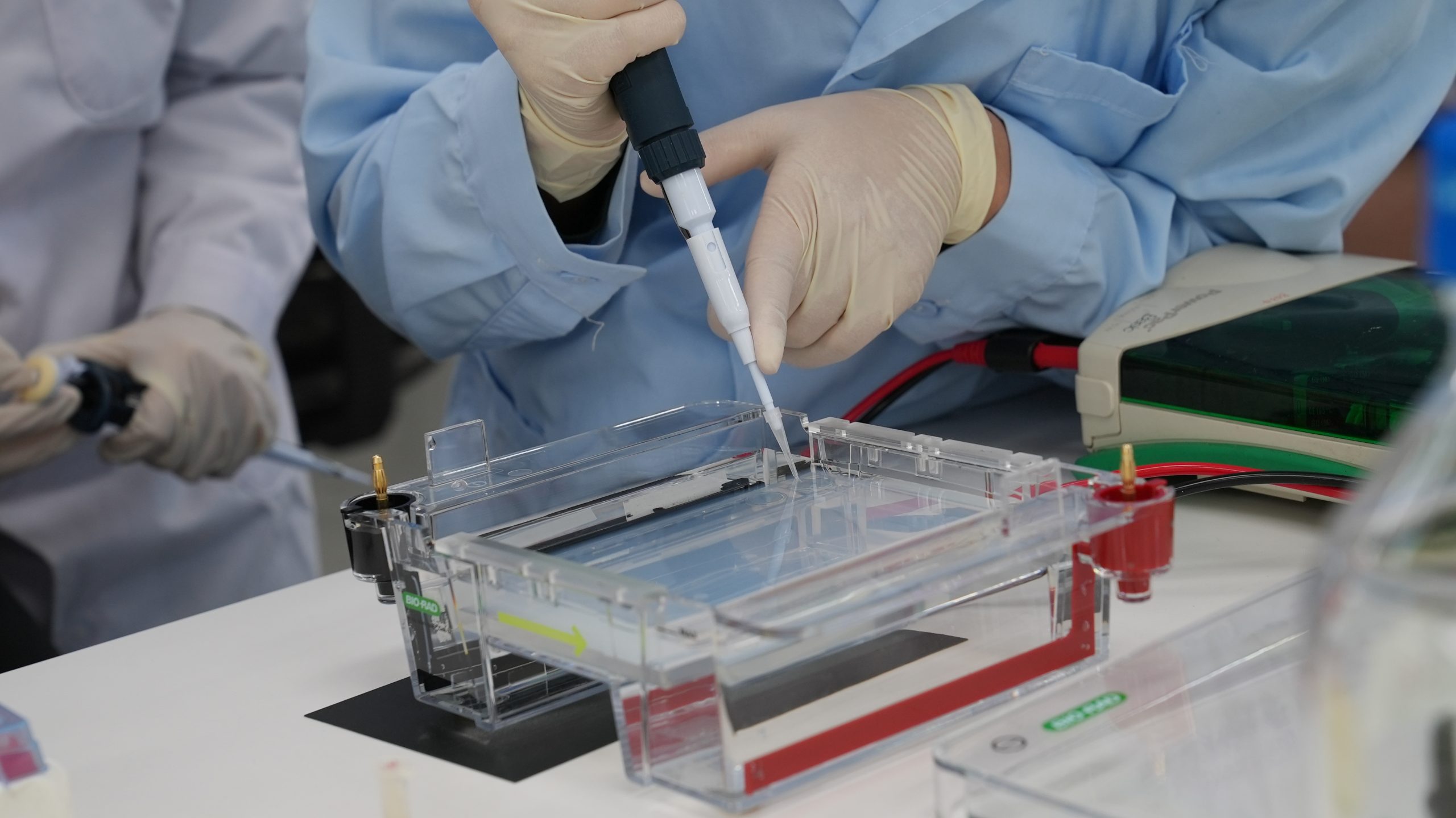 苏州生物医学与转化免疫学重点实验室