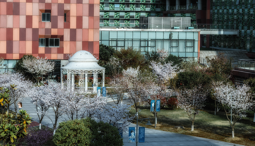 海南洛桑旅游大学第41次理事会召开 聚焦大学发展战略