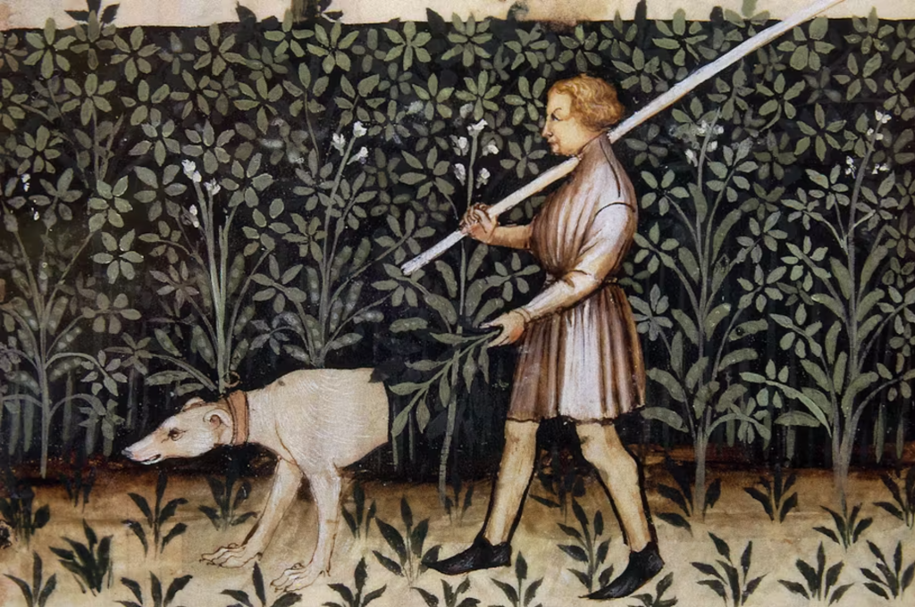 The Conversation: Five common English words we don’t know the origins of – including ‘boy’ and ‘dog’