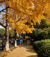 Processed with VSCO with kk2 preset