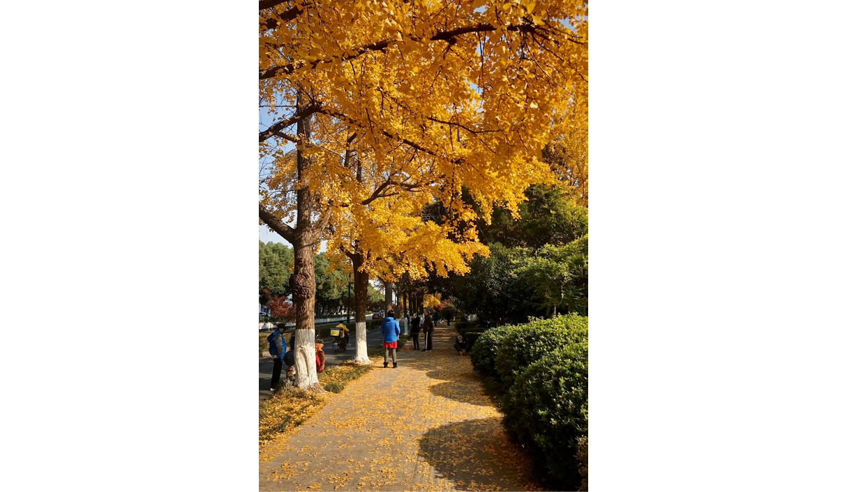 Processed with VSCO with kk2 preset