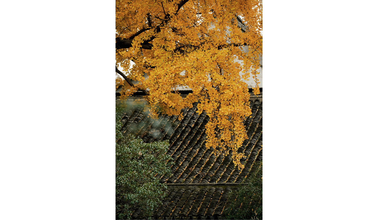                                Processed with VSCO with j6 preset