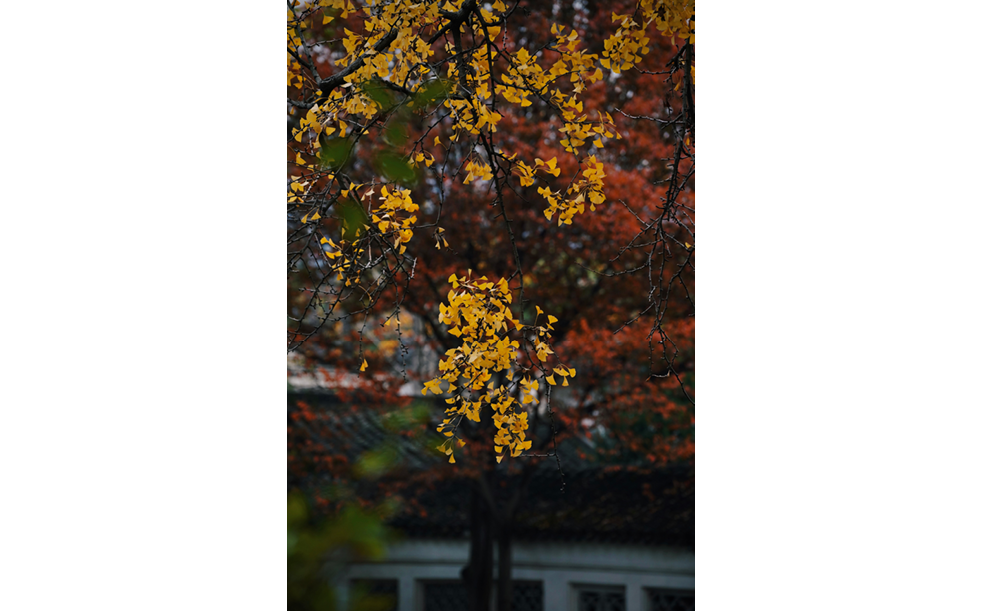                                Processed with VSCO with c6 preset