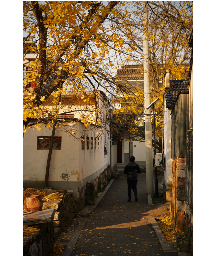                                Processed with VSCO with l10 preset