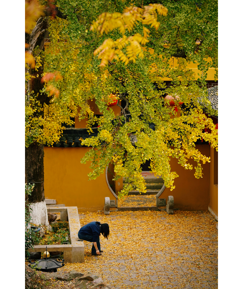                                Processed with VSCO with c3 preset