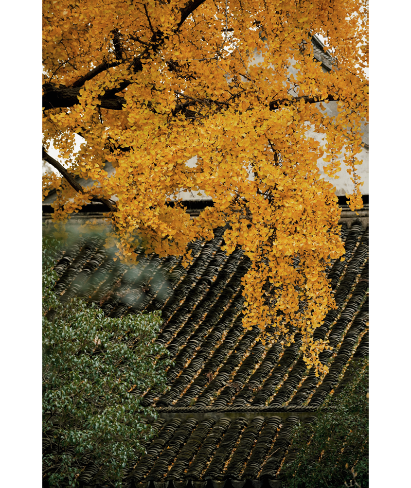                                Processed with VSCO with j6 preset