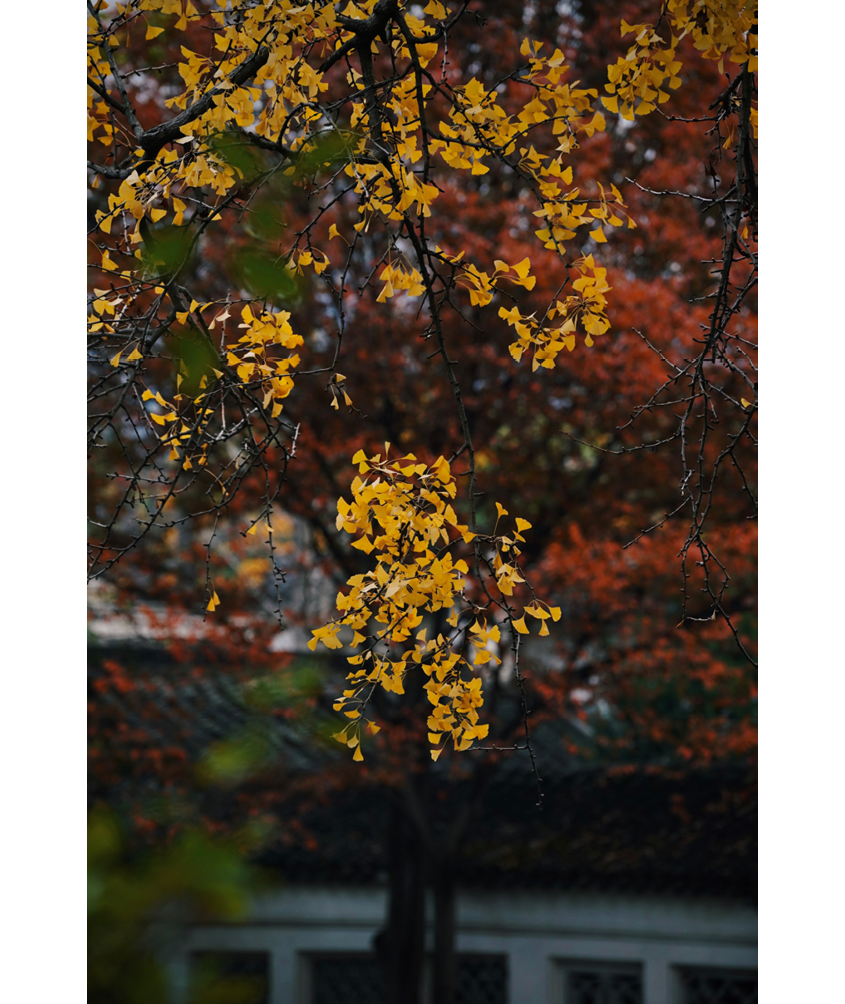                                Processed with VSCO with c6 preset