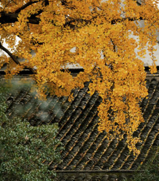                                Processed with VSCO with j6 preset