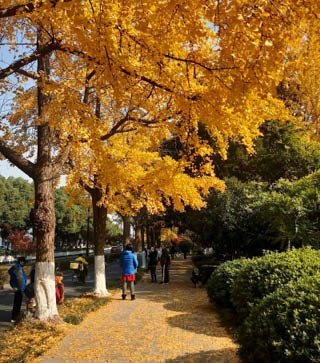 Processed with VSCO with kk2 preset