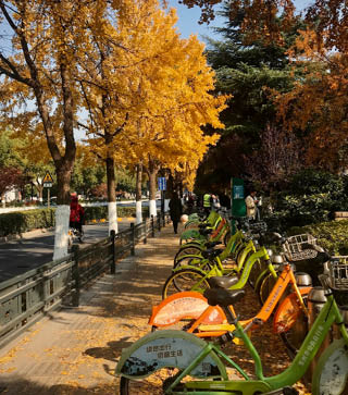 Processed with VSCO with kk2 preset