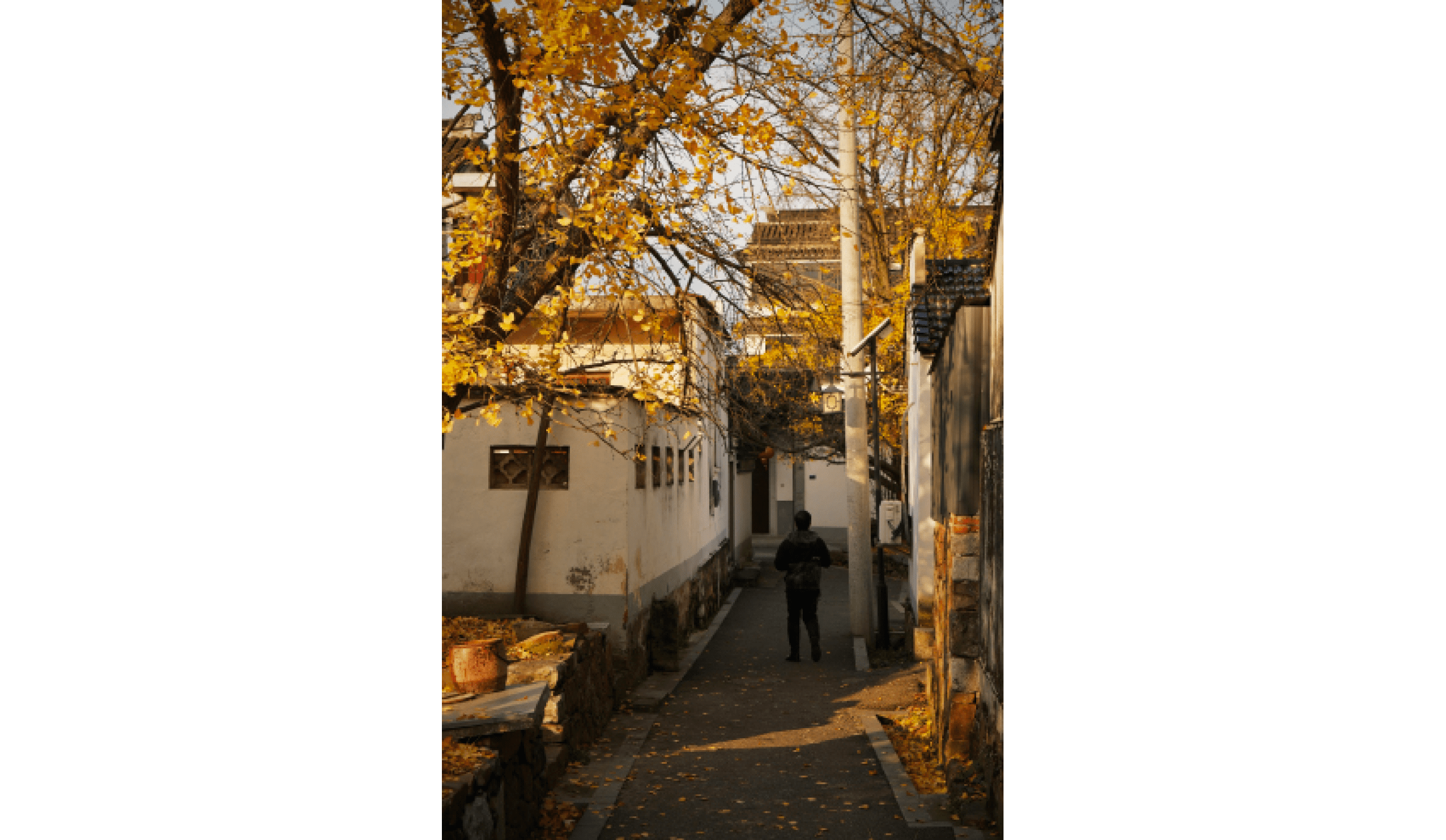                                Processed with VSCO with l10 preset