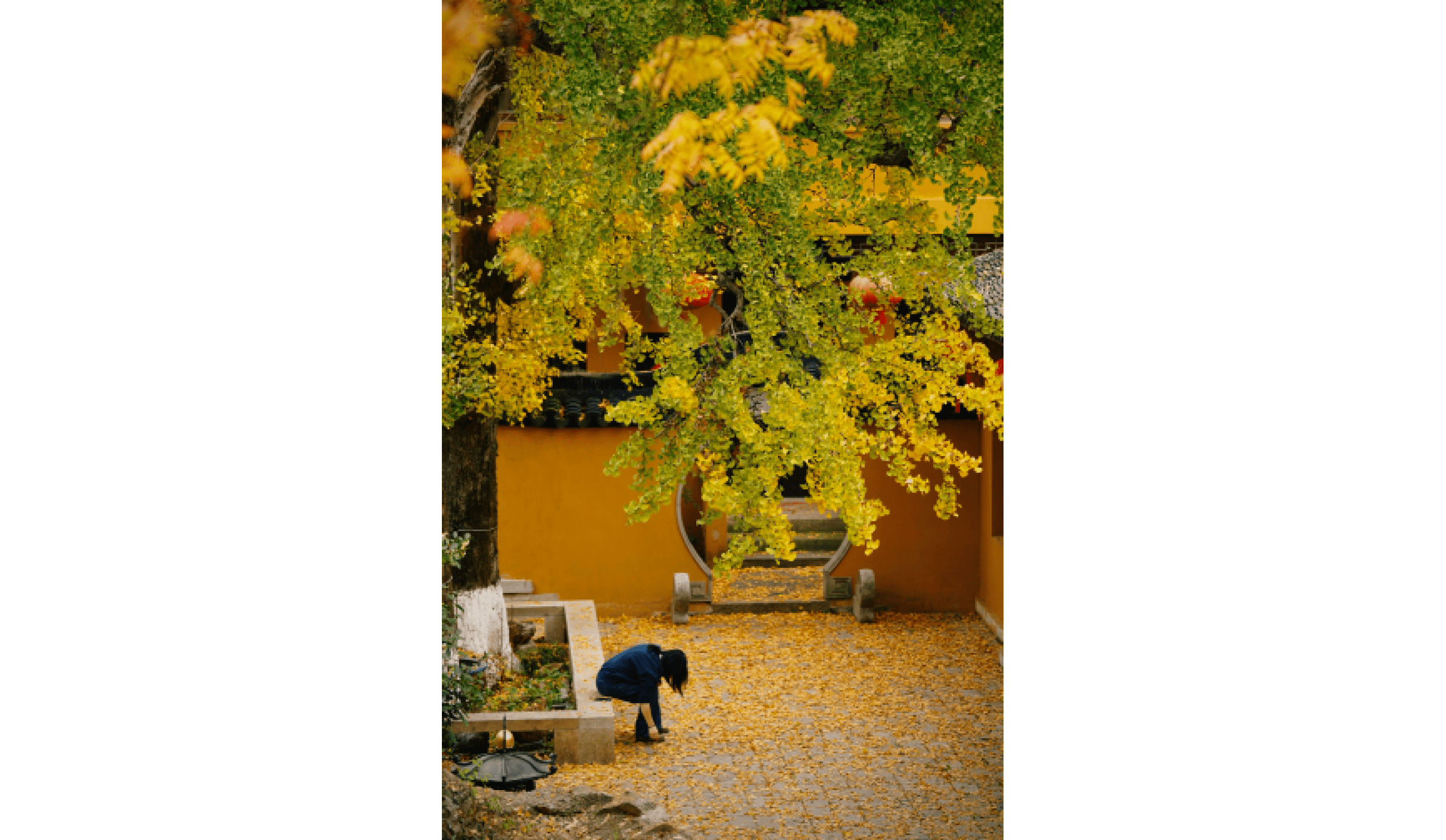                                Processed with VSCO with c3 preset