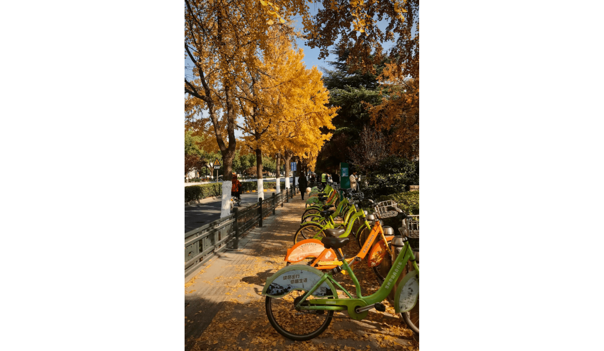 Processed with VSCO with kk2 preset