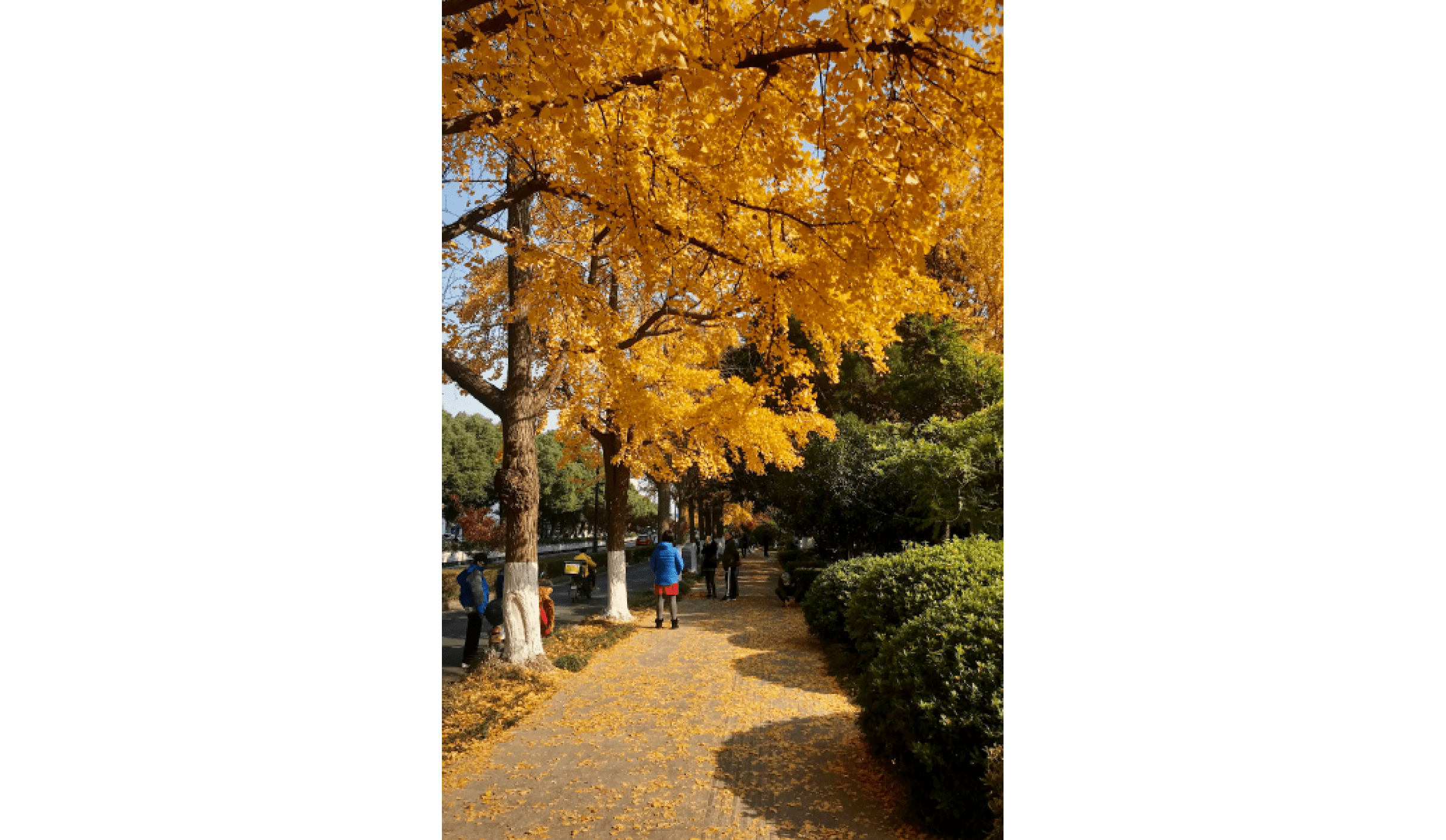 Processed with VSCO with kk2 preset