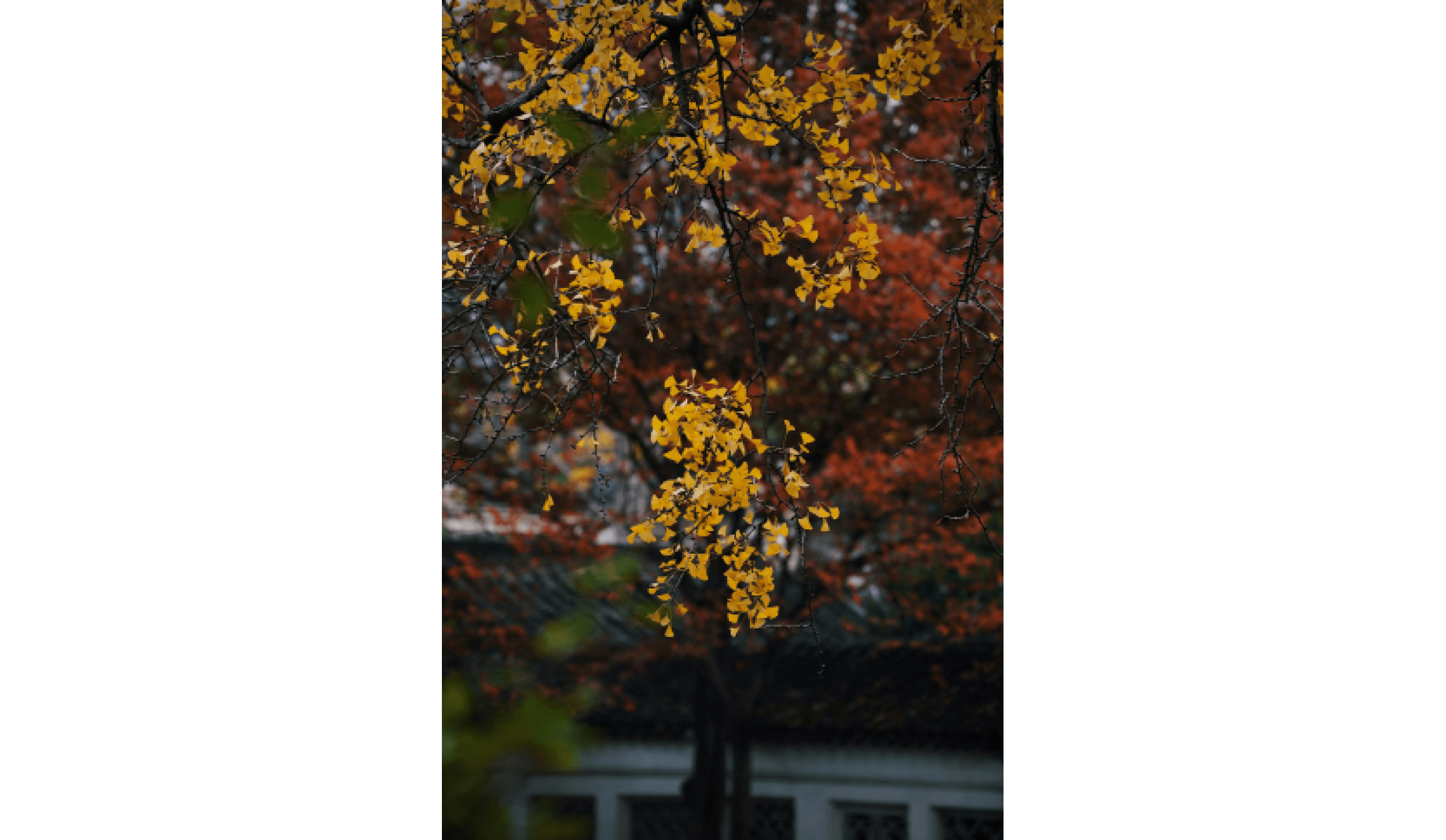                                Processed with VSCO with c6 preset