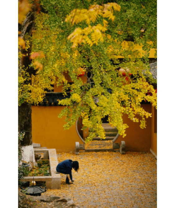                                Processed with VSCO with c3 preset