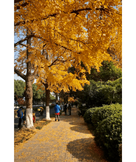 Processed with VSCO with kk2 preset