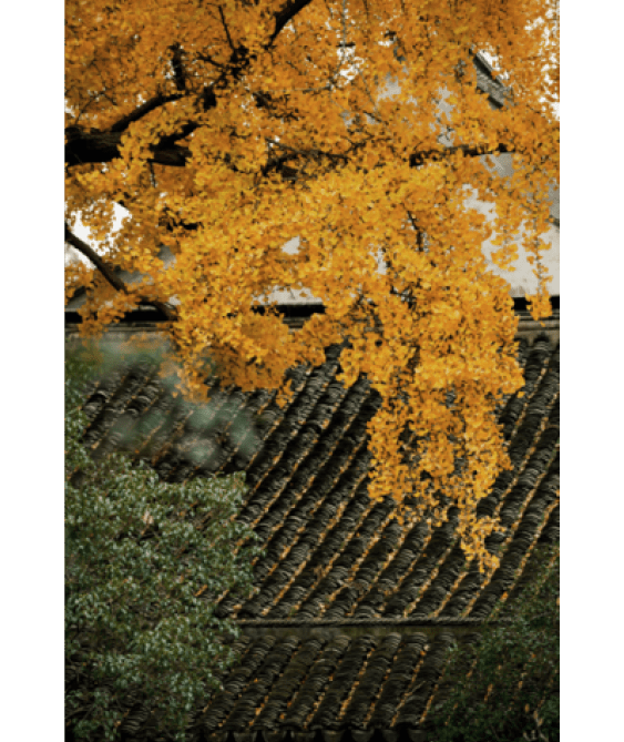                                Processed with VSCO with j6 preset