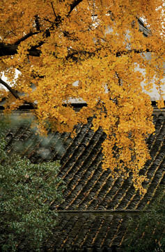                                Processed with VSCO with j6 preset