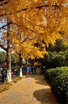 Processed with VSCO with kk2 preset