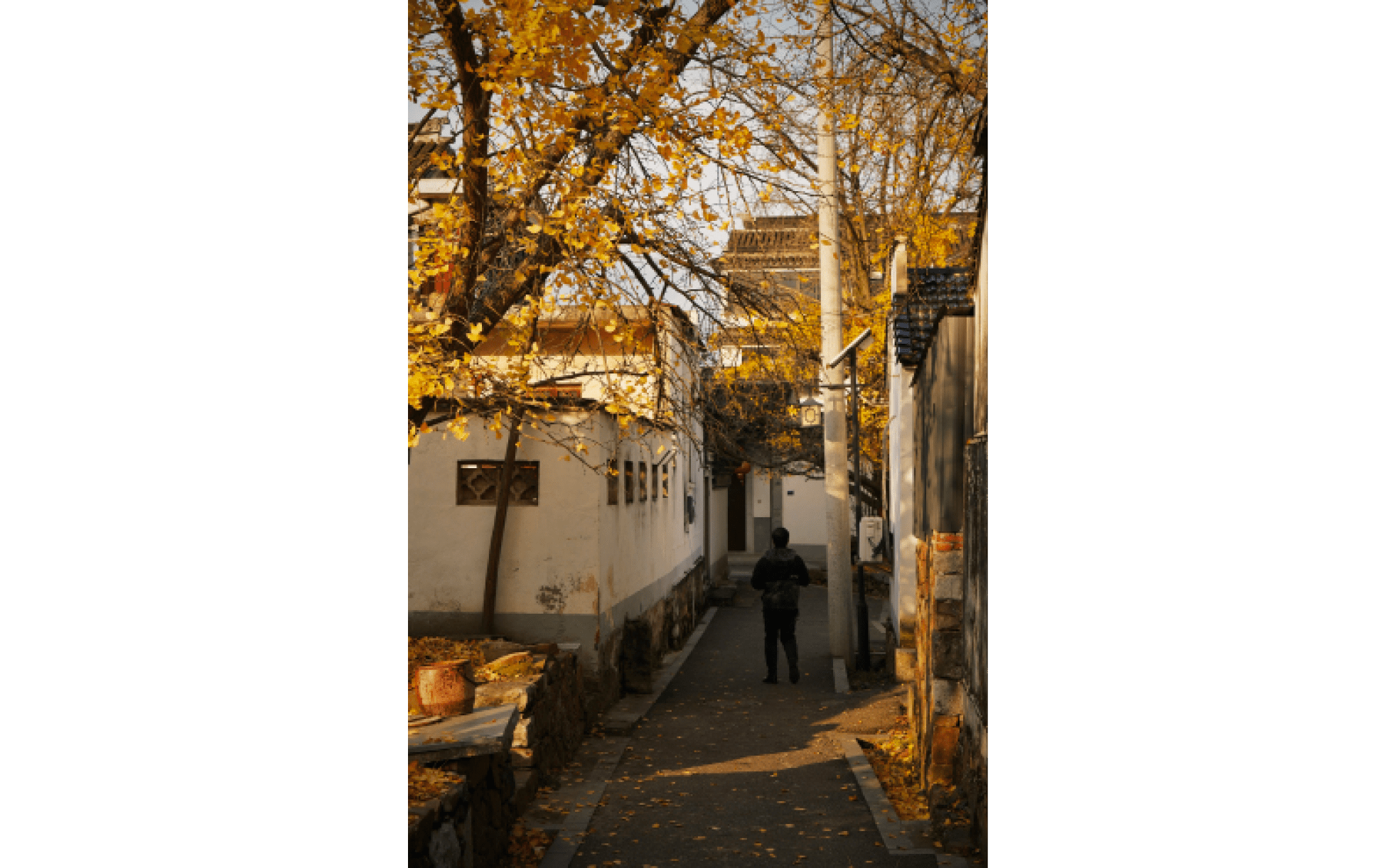                                Processed with VSCO with l10 preset