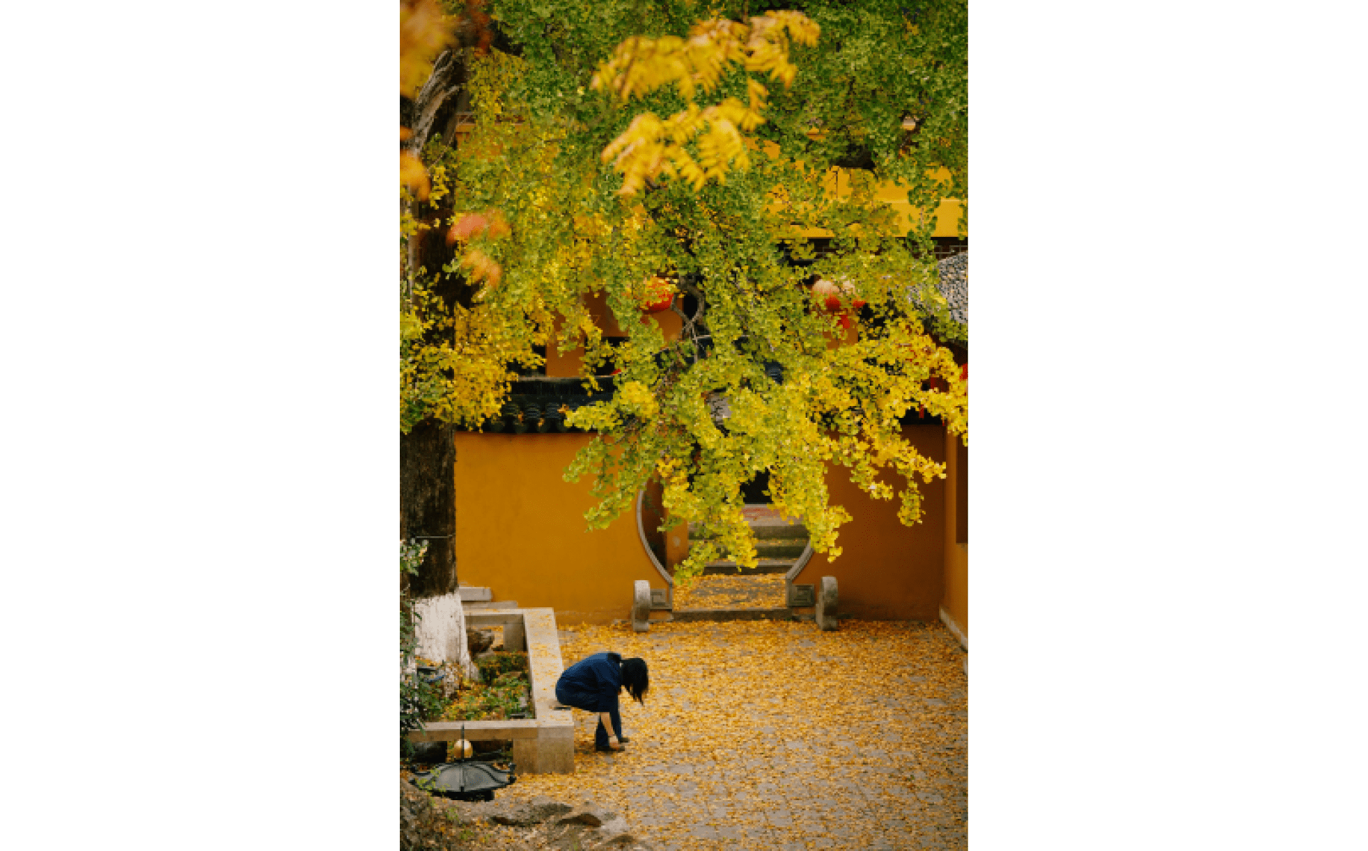                                Processed with VSCO with c3 preset