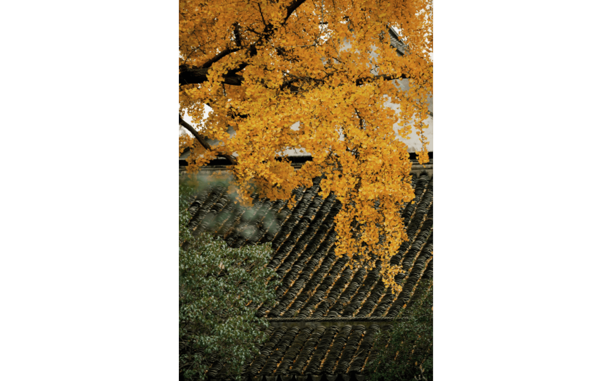                                Processed with VSCO with j6 preset